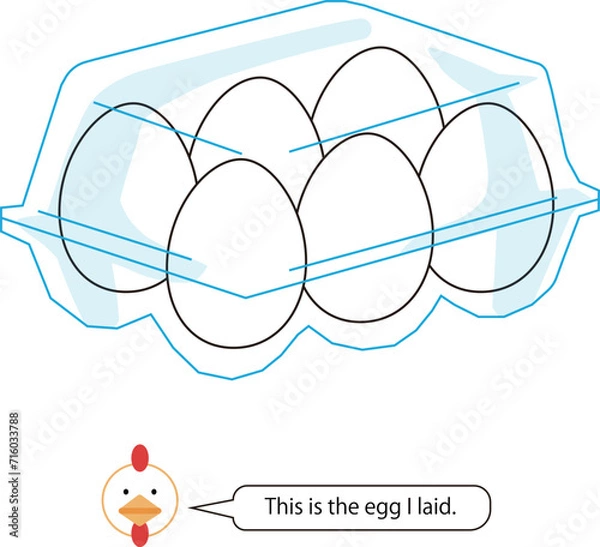 Obraz ６個入りの鶏の卵のパックのベクターイラス