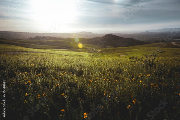 Obraz sunset over the field