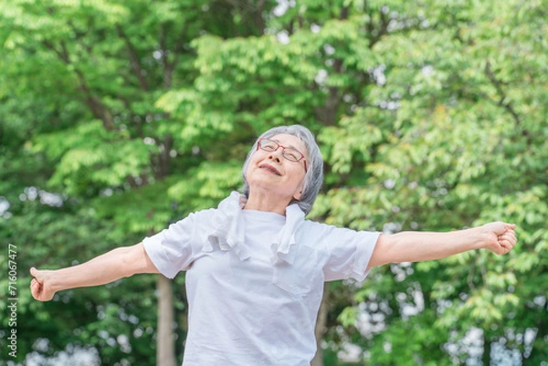 Fototapeta 公園で運動・体操・ストレッチする高齢者女性
