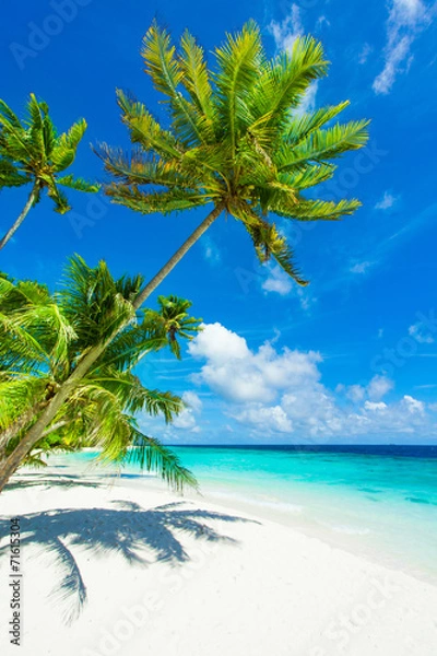 Obraz Rest in Paradise - Malediven - Postkartenmotiv mit schräger Pal