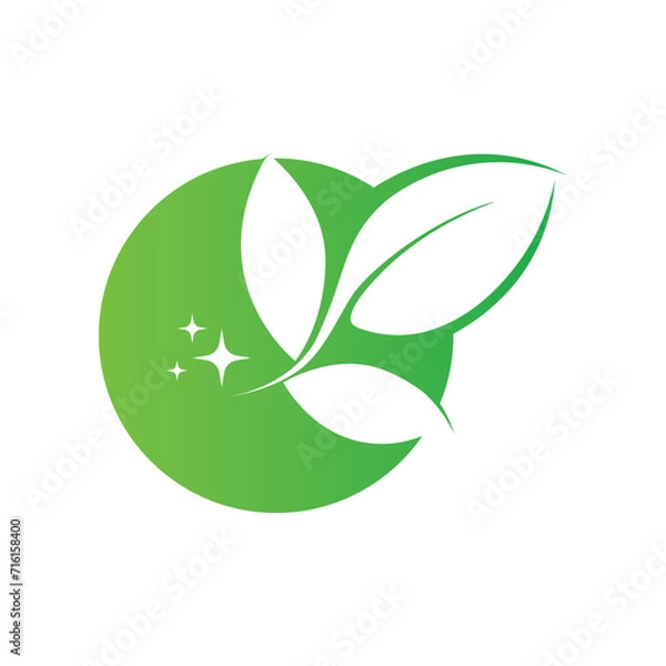 Fototapeta Fresh leaf template vector