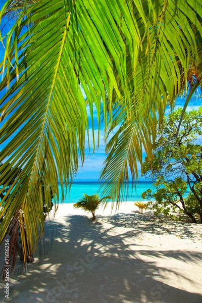 Fototapeta Rest in Paradise - Malediven - Palme, Strand und Meer