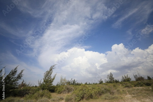 Obraz clouds over the forest