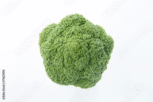 Obraz ブロッコリー