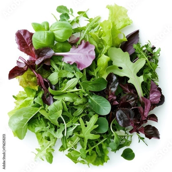 Fototapeta Mesclun mix, a blend of various baby salad leaves isolated on white background
