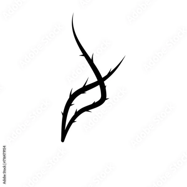 Obraz Thorn Silhouette