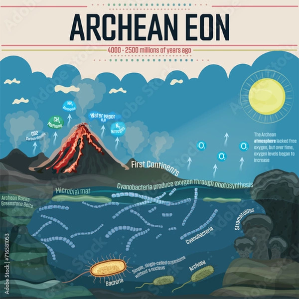 Fototapeta Archean Eon: Simple, single-celled organisms, bacteria, and archaea first appeared. Cyanobacteria produced oxygen through photosynthesis.  Over time, oxygen levels began to increase 