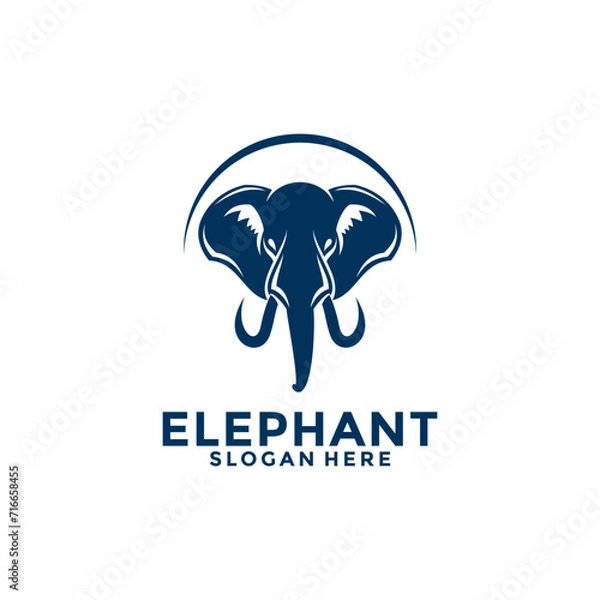 Fototapeta Elephant logo vector, Elephant Head logo design template