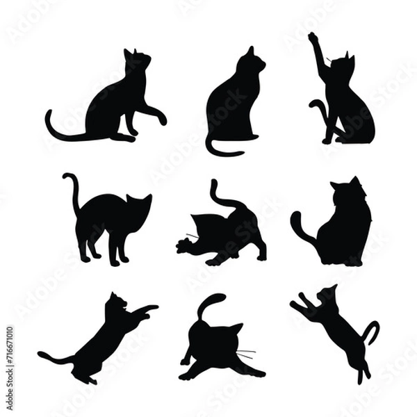 Fototapeta Cat vector silhouettes set Isolated On White Background, cats in different poses