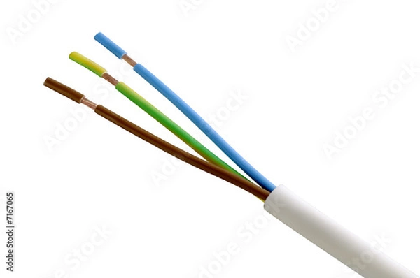 Obraz fil electrique dénudés