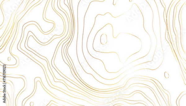 Fototapeta Topographic map lines background. Abstract vector illustration.