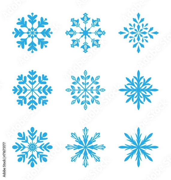 Fototapeta Collection of variation snowflakes isolated on white background