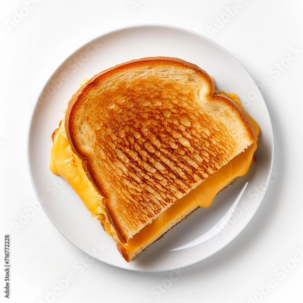 Fototapeta The grilled cheese sandwich on a plate isolated on a white background is in the top view