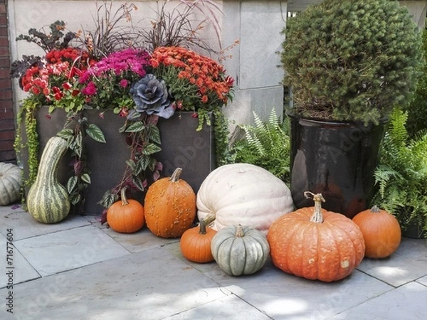 Obraz Tasteful Fall Decorations
