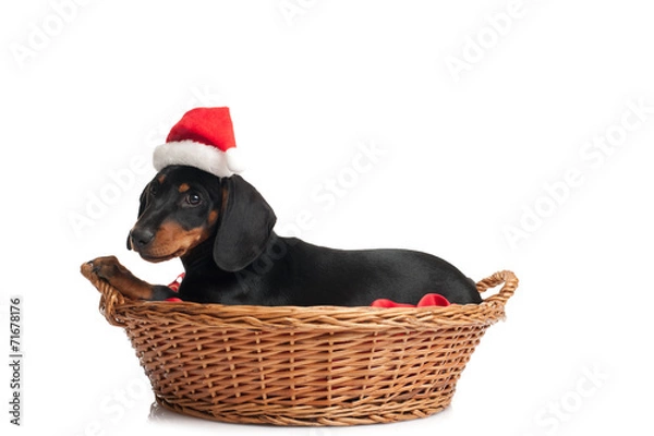 Obraz Waiting for Santa Claus