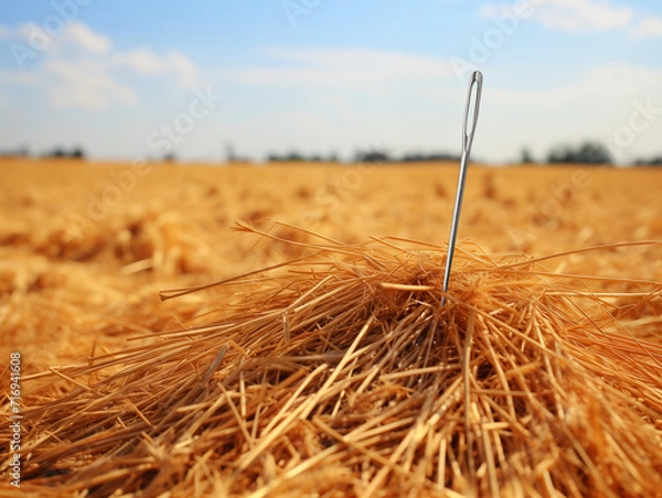 Fototapeta A single needle standing on a haystack, with a clear blue sky in the background. Concept of the saying "it's harder than finding a needle in a haystack".