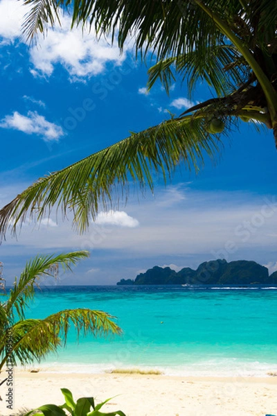 Fototapeta Green View Island Lagoon