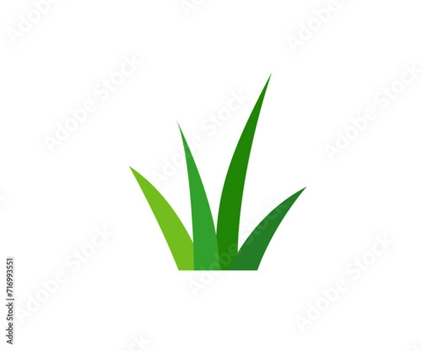 Fototapeta Green grass. Gazon. Vector icon. web version.