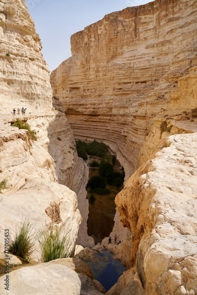 Obraz desert canyon