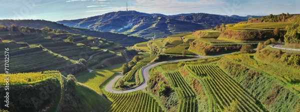 Obraz Grafika Kaiserstuhl