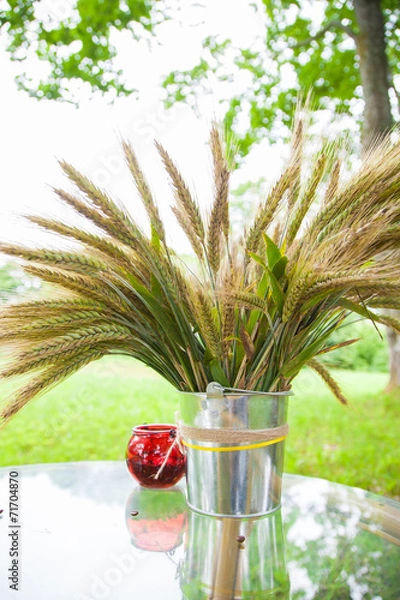 Obraz container with  green sprouts on table