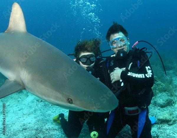 Fototapeta couple with shark