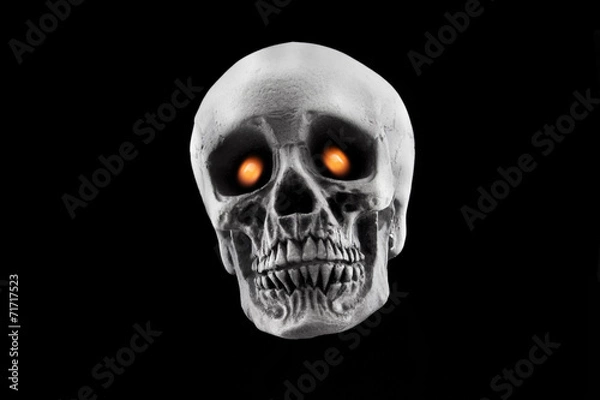 Fototapeta Floating Skull