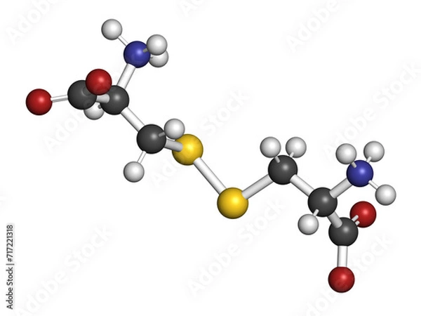 Fototapeta Cystine molecule. Oxidized dimer of the amino acid cysteine. 3D rendering.