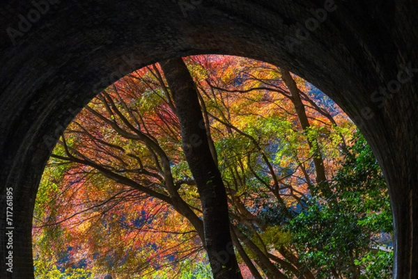 Obraz 廃トンネルから覗き見る紅葉