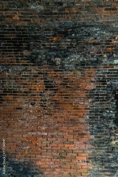 Obraz 廃止された鉄道トンネルのレンガの壁