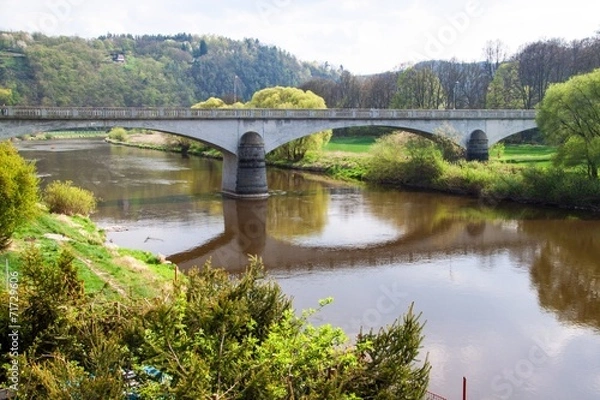 Fototapeta Berounka river with a bridge