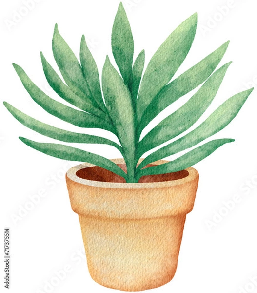 Obraz Autumn Plant cactus 