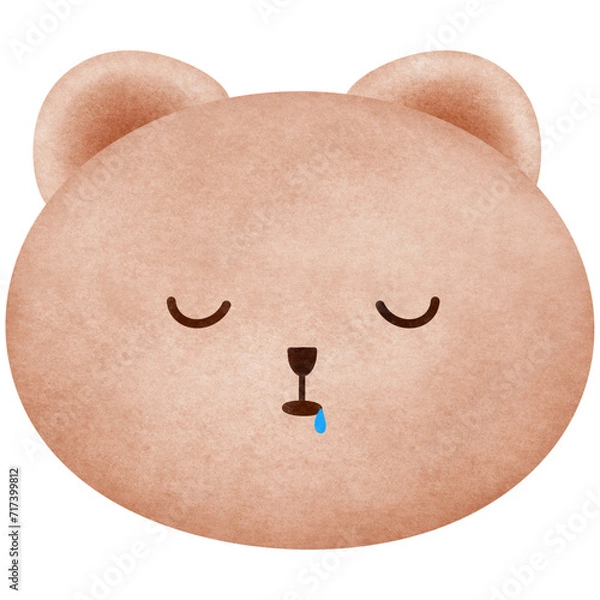 Obraz face bear is sleep