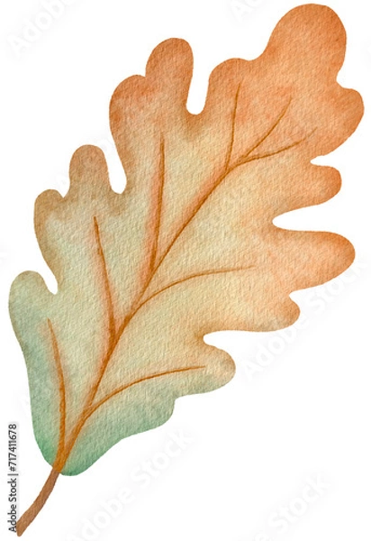 Obraz Autumn Oak Leaf