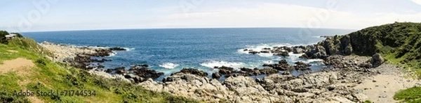 Fototapeta punta de tralca 1