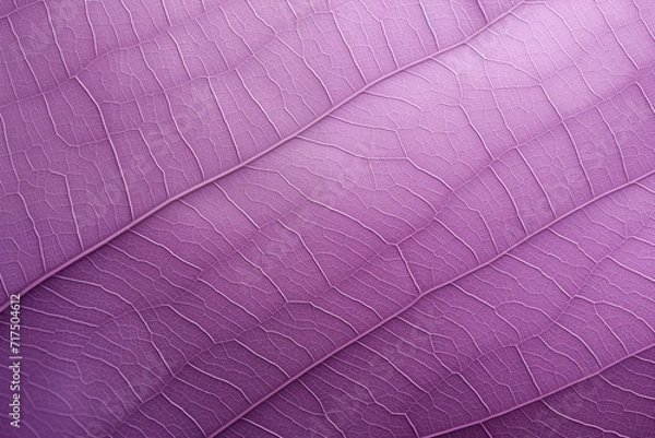 Fototapeta leaf background, leaf surface, leaf texture, leaf material, sleaf floor