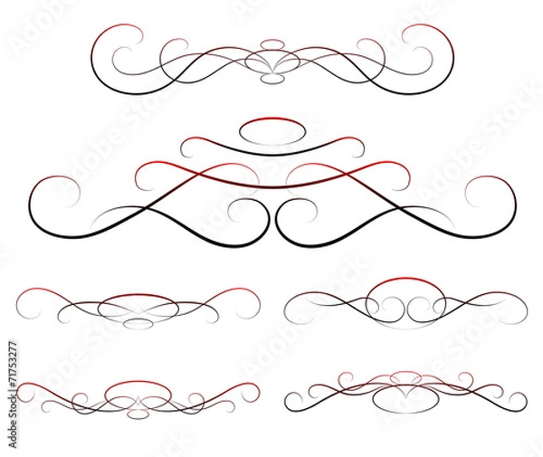 Fototapeta elements of design, calligraphy, vector set