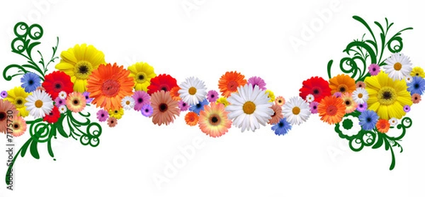 Obraz bordo floreale