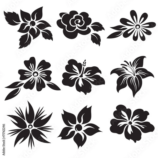 Obraz Vector set of black and white flowers.