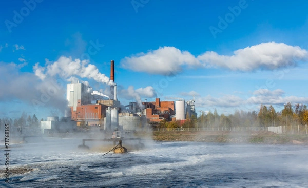 Obraz Pulp mill