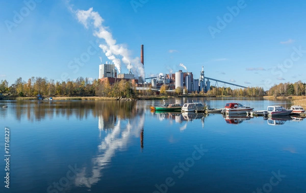 Obraz Pulp mill