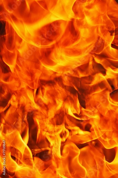 Obraz Fire background