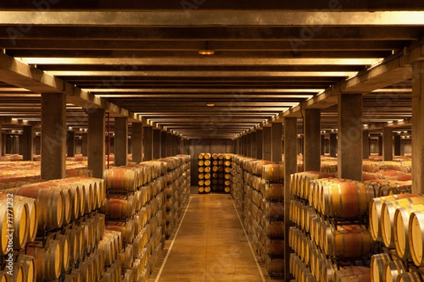 Obraz La Rioja Wine Barrels
