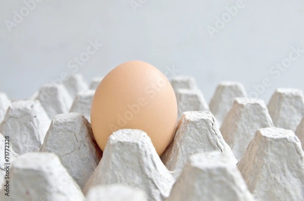 Obraz alone egg in cardboard containers for eggs