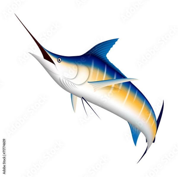 Obraz Realistic blue Marlin fish