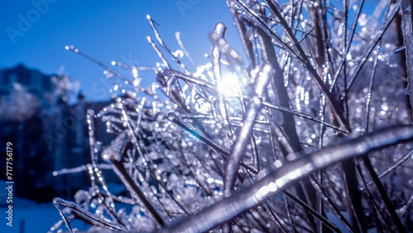 Fototapeta ice kingdom