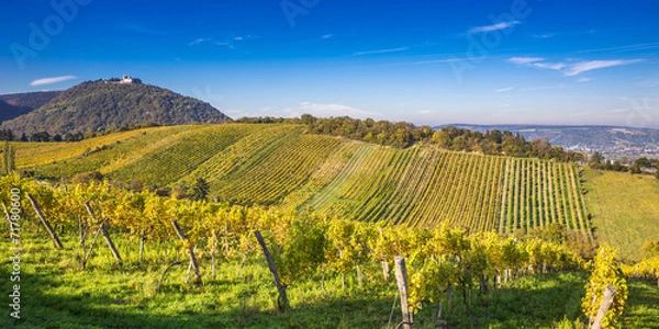 Obraz Kahlenberg Wiedeń, Austria