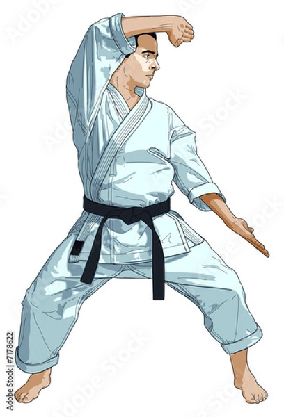 Obraz Karaté illustration