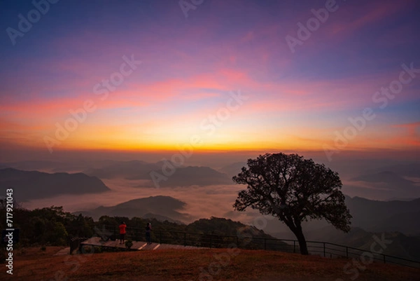 Obraz  Dawn sky until the sunrise over the sea of clouds on the mountain peaks with a lonely tree at Doi Pui Co mountain in Mae Hong Son Thailand.	