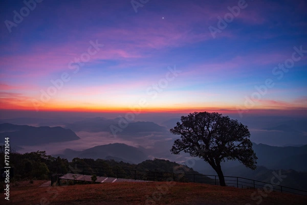 Fototapeta  Dawn sky until the sunrise over the sea of clouds on the mountain peaks with a lonely tree at Doi Pui Co mountain in Mae Hong Son Thailand.	